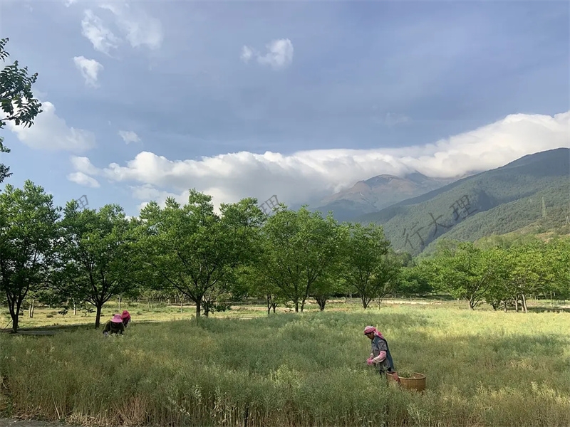 大理小重山鹿鳴山莊戶(hù)外基地