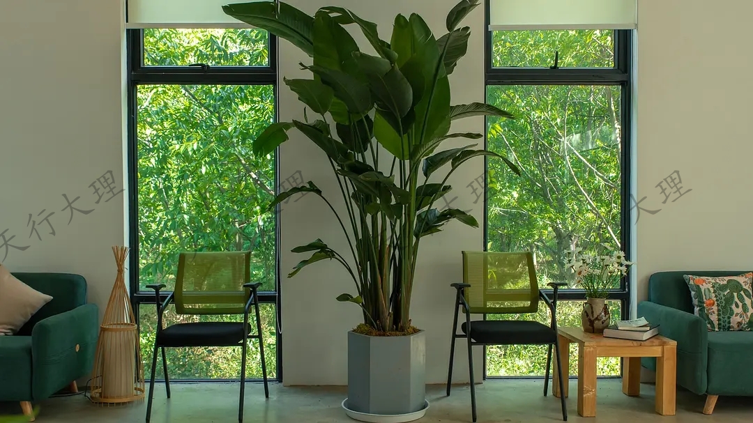 大理小重山鹿鳴山莊戶(hù)外基地