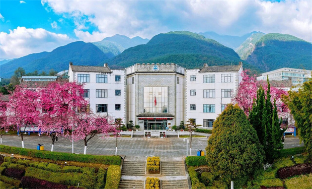 大理旅游：去賞櫻，大理大學開放日來了！