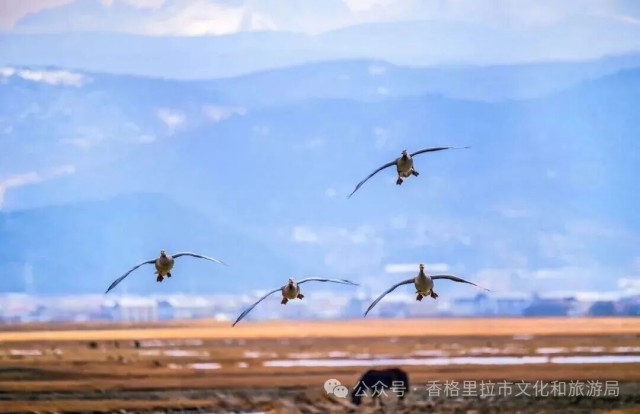 五一假期，去大理這6個(gè)古村鎮(zhèn)！