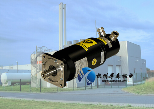 防爆伺服電機(jī)價(jià)格是否就能決定防爆電機(jī)品質(zhì)？